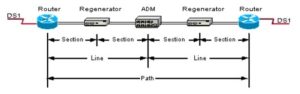 sonet network