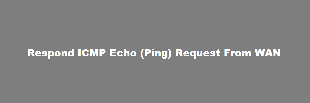 respond icmp echo (ping) request from wan