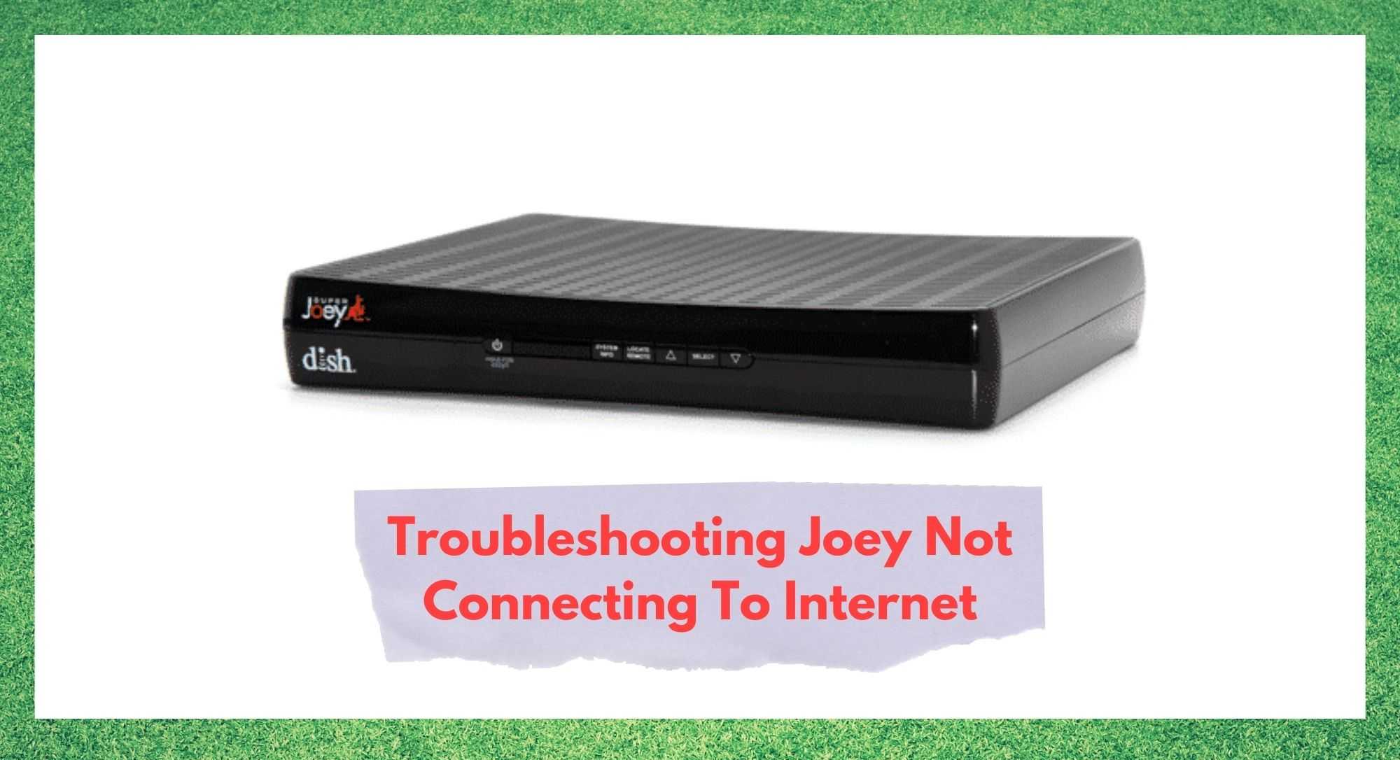 joey not connecting to internet
