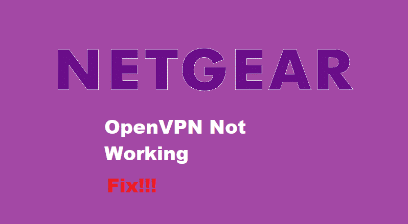 netgear openvpn not working
