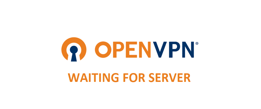 openvpn waiting for server