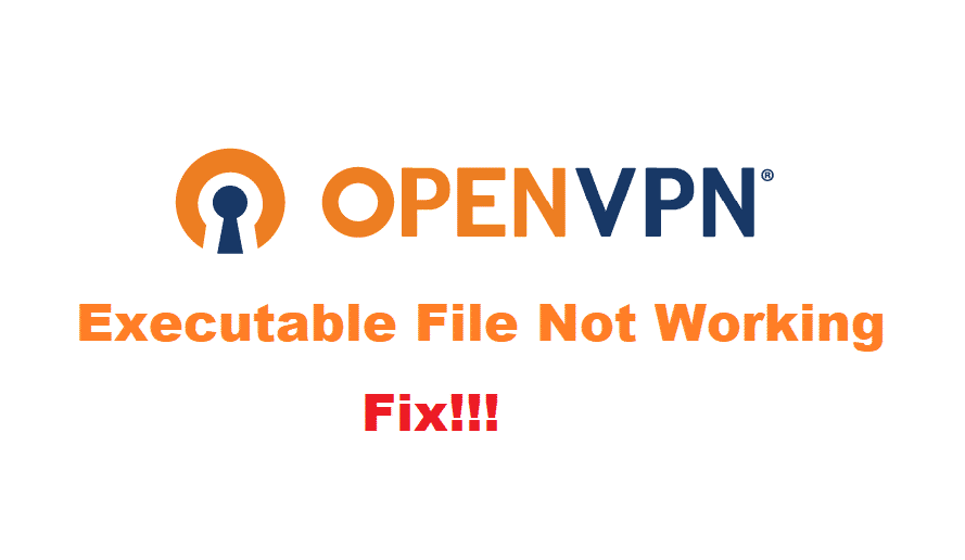 the openvpn executable isnt working