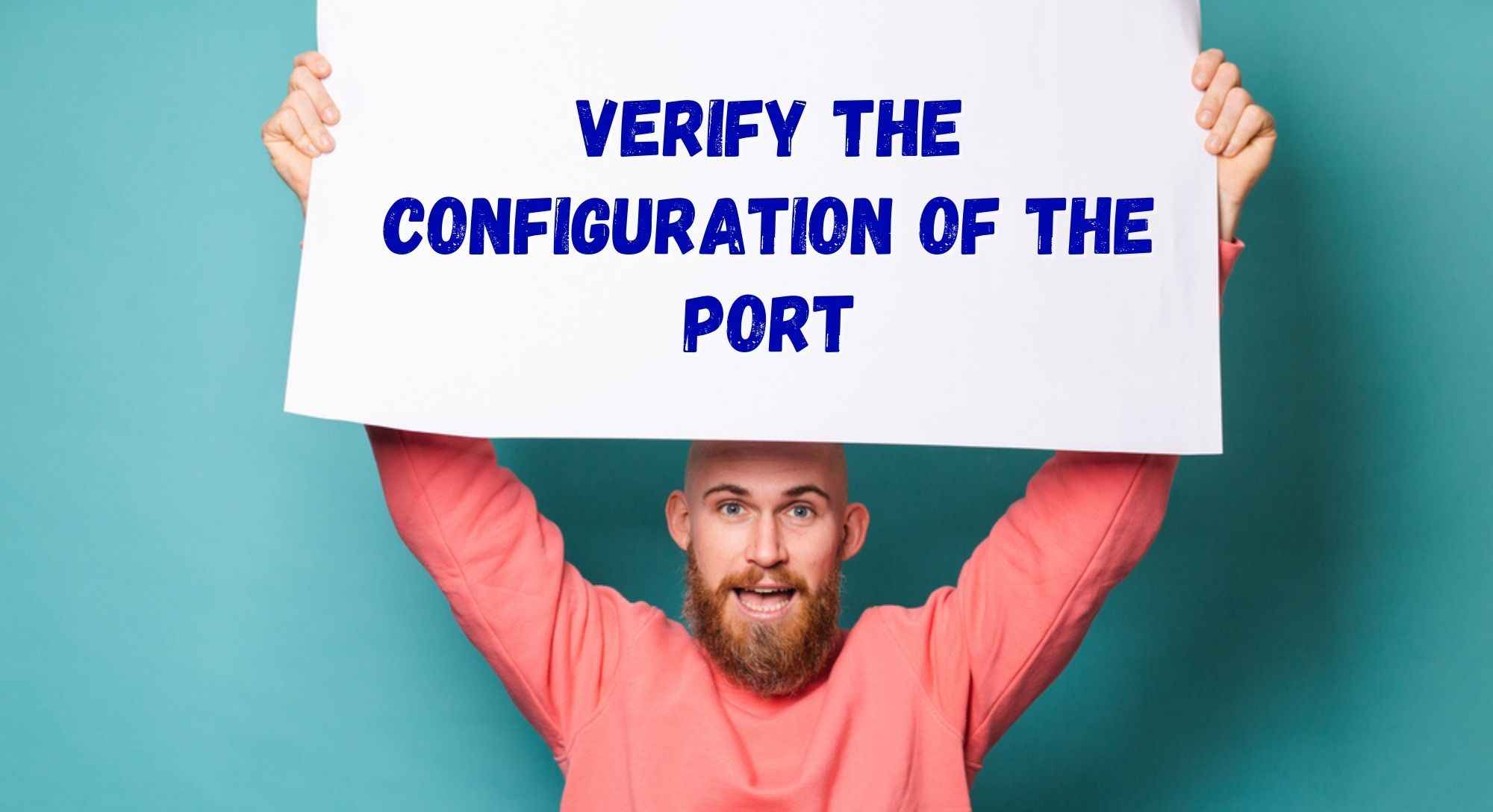 Verify the Configuration of the Port