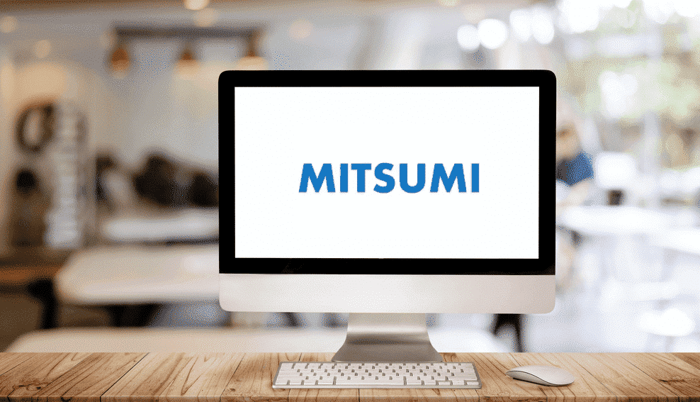 mitsumi electric on my network