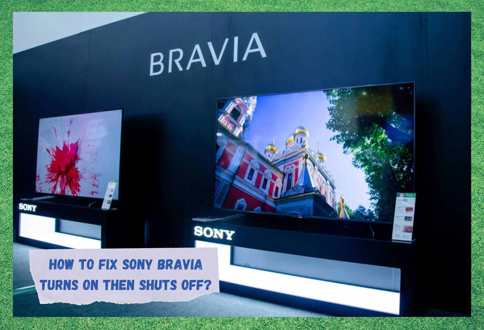 sony bravia turns on then shuts off