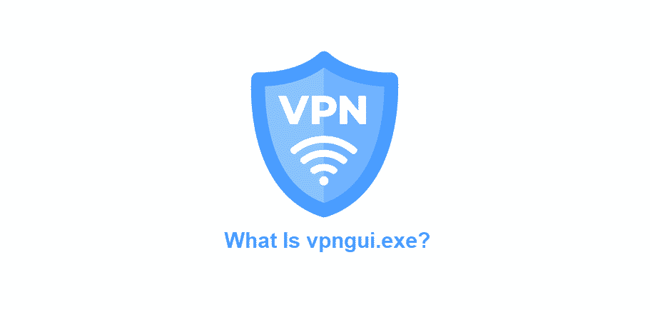 what is vpngui.exe